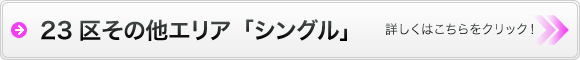 23区その他エリアシングル物件検索