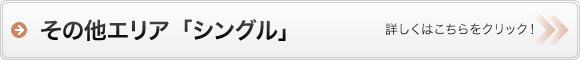 その他エリアシングル物件検索